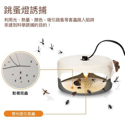 蜻蜓 風水 捕蚤燈有用嗎